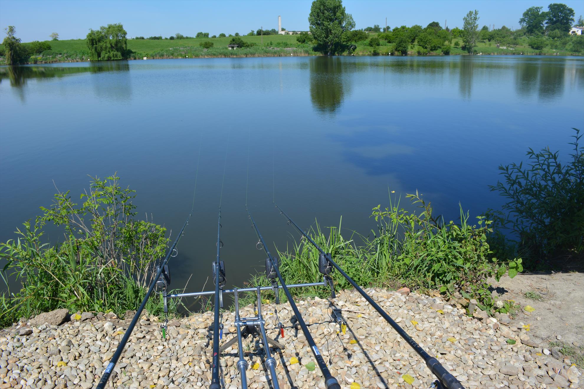 Cupa Debuntatilor  - Hermes Peris - dsc01071111.JPG